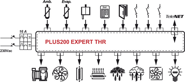 PLUS200-EXPERT-THR
